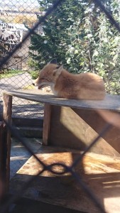 timeline_20171023_112903